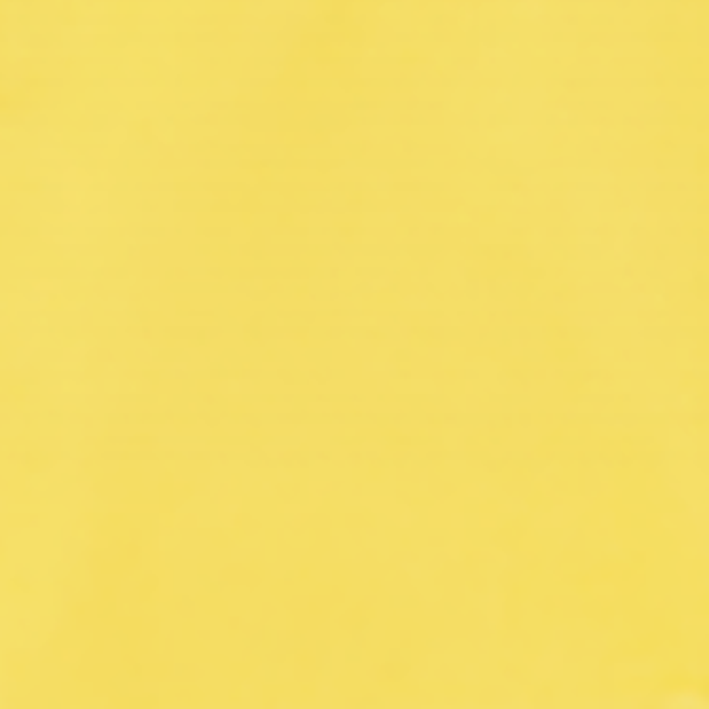 background:カナリアイエロー|right-sleeve