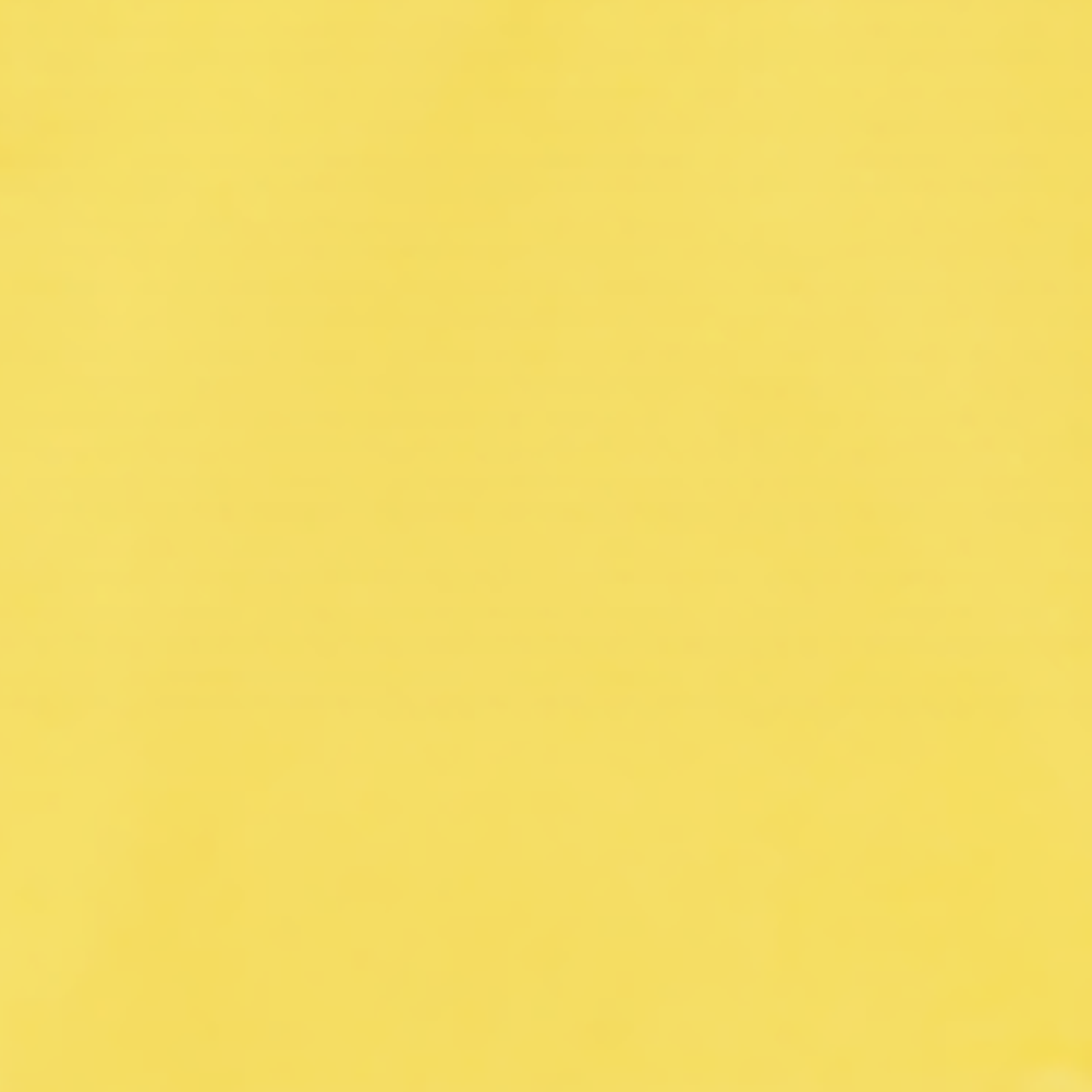 background:カナリアイエロー|right-sleeve